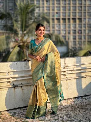 Begie zari woven tissue silk saree with unstitched blouse piece 4