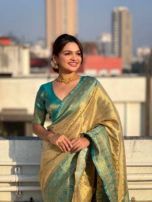Begie zari woven tissue silk saree with unstitched blouse piece 5