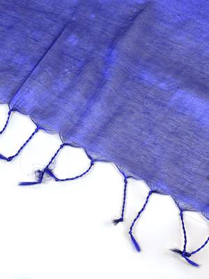 Aakar ink blue handloom tissue saree with unstitched blouse piece 7