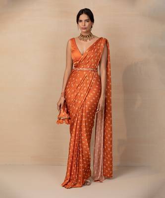 Rust printed saree set 2