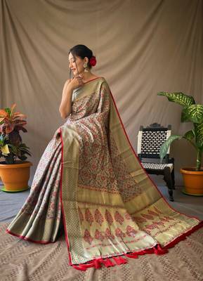 Grey pure patola silk saree and unstitched blouse piece 1