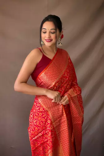 Red pure patola silk saree and unstitched blouse piece