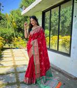 Red patola silk saree and has a  zari border blouse piece