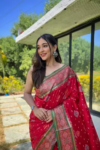 Red patola silk saree and has a  zari border blouse piece