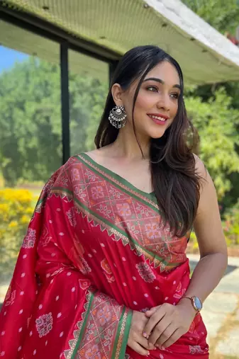 Red patola silk saree and has a  zari border blouse piece