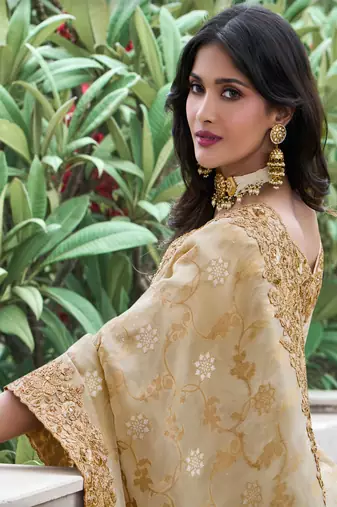 Beige pure tissue silk heavy thread embroidery work on border with zari weaving saree with blouse