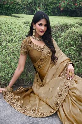 Chiku & brown pure tissue silk heavy thread embroidery work on border with zari weaving saree with blouse 2