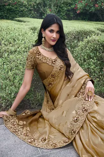 Chiku & brown pure tissue silk heavy thread embroidery work on border with zari weaving saree with blouse