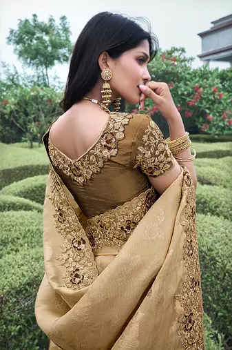 Chiku & brown pure tissue silk heavy thread embroidery work on border with zari weaving saree with blouse