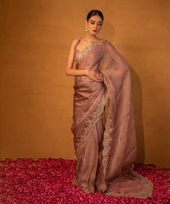 Brown organza saree 1