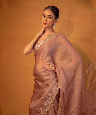 Brown organza saree 2
