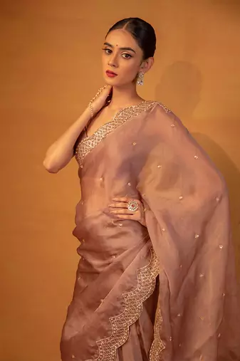 Brown organza saree