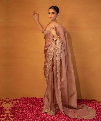 Brown organza saree 3