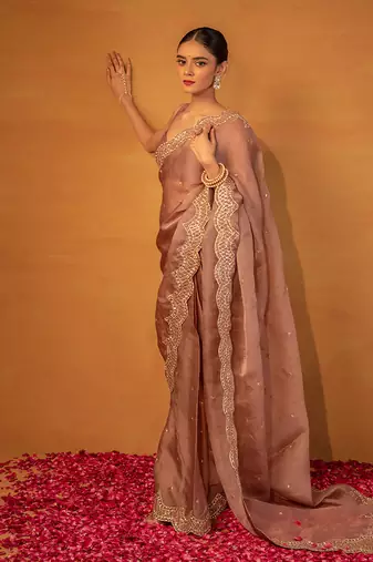 Brown organza saree