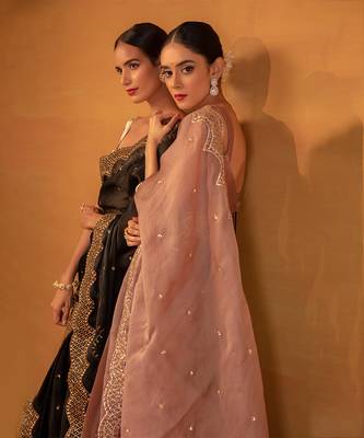 Brown organza saree 4
