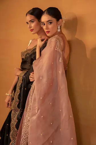 Brown organza saree