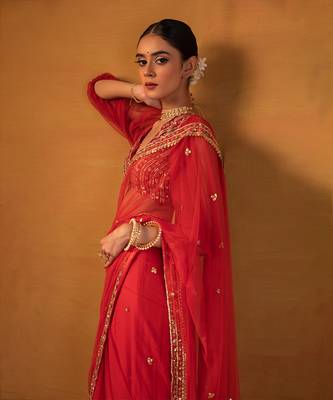 Red net saree set 3