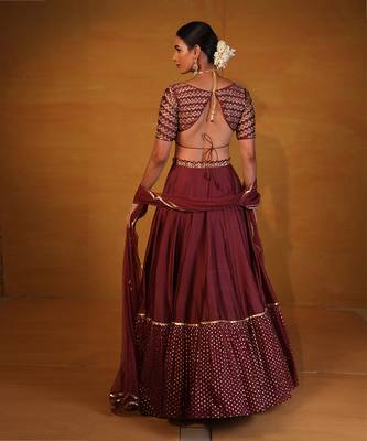 Burnt Henna Embellished Lehenga Set 3