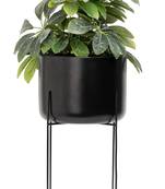 Mild Steel Planter Pot with Stand, (Black Texture) (25 x 25 x 39 CM) (Pack of 1)