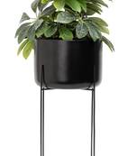 Aluminium Planter Pot with Stand, (Black) (25 x 25 x 56 CM) (Pack Of 1)