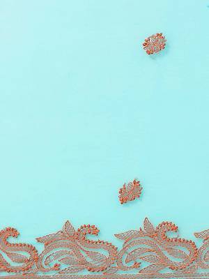 hand embroidered sea green georgette lucknowi chikankari saree with blouse  3