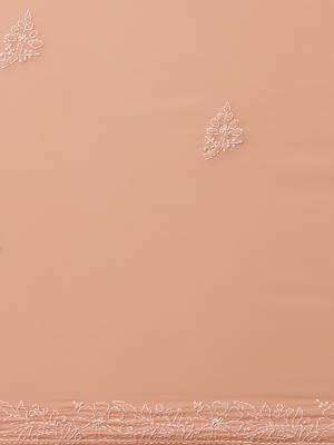hand embroidered peach georgette lucknow chikan saree with blouse  3