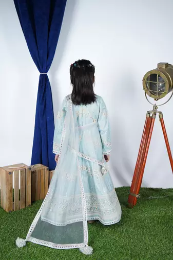 Sky Blue Embroidery Anarkali 