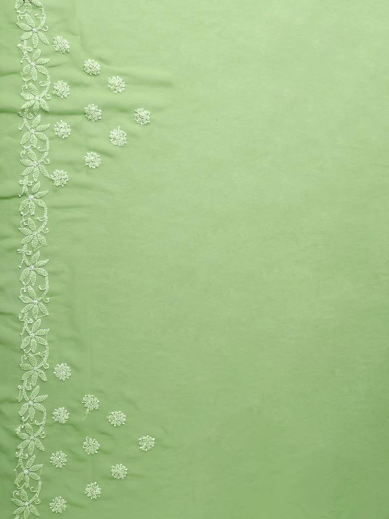 hand embroidered green goergette lucknowi chikankari saree with blouse 