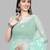 hand embroidered sea green goergette lucknowi chikankari saree with blouse 
