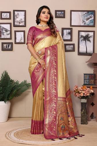 Cream Banarasi style classic tissue silk Bland contust border saree with Blouse