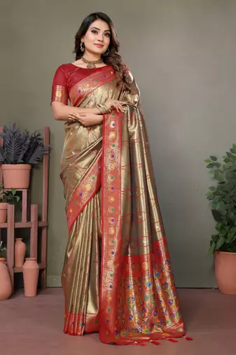 Mahendi Vasantani Banarasi style tissue silk bland contrust border saree with Blouse