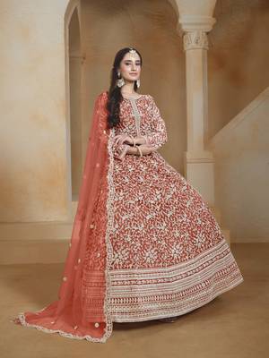 Rust net heavy thread embroidery with sequins work salwar kameez 2
