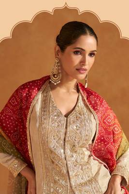 Beige Embroidered Silk Free Size Stitched Circular Lehenga.(Size up to 42") 3