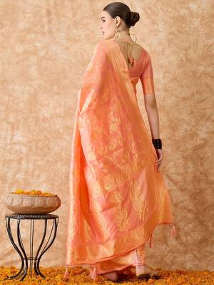 Peach saree with light motifs & zari border 3