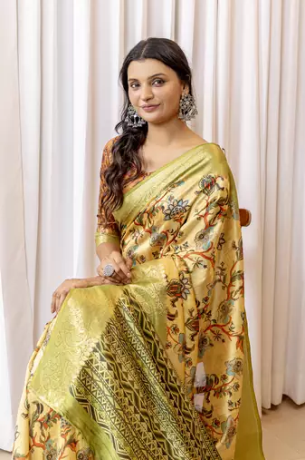 Multi zari woven silk bnarasi saree with blouse