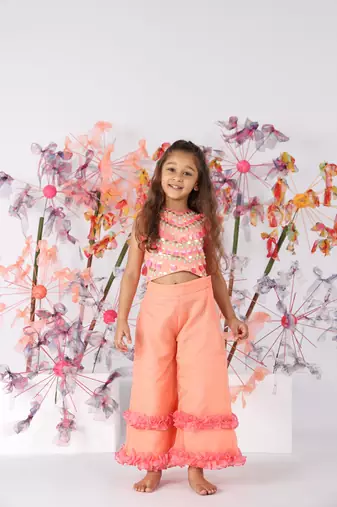 Hand embroidered dark peach tie-up top with flare organza pants