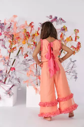 Hand embroidered dark peach tie-up top with flare organza pants