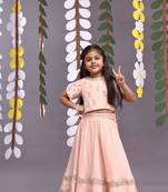 Gold embroidered silk lehenga and blouse in light pink