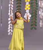 Silver dori embroidered silk top and lehenga in pista green