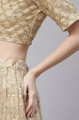 Mesmerizing Beige Sequins Net Wedding Wear Lehenga Choli With Dupatta