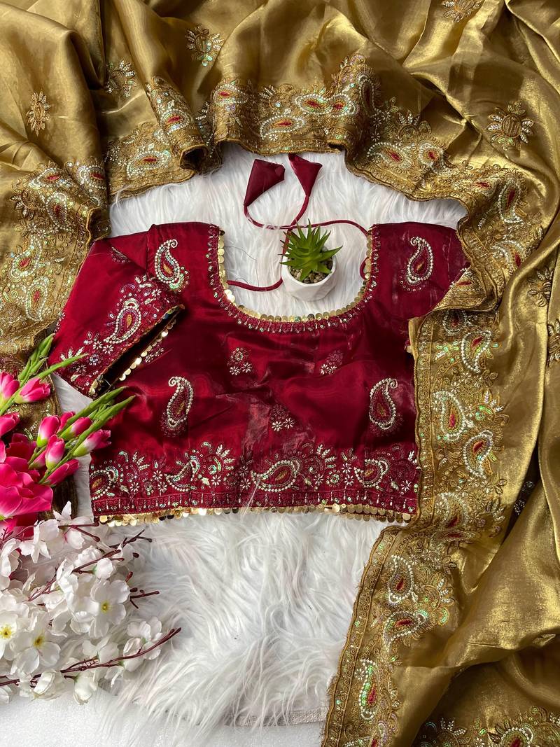 Chiku color Jimmy choo silk saree with sequin embroidery work 