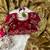 Chiku color Jimmy choo silk saree with sequin embroidery work 