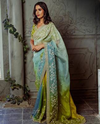 soft organza silk saree with beautiful prism designs with embroidery panel work 2