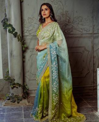 soft organza silk saree with beautiful prism designs with embroidery panel work 3