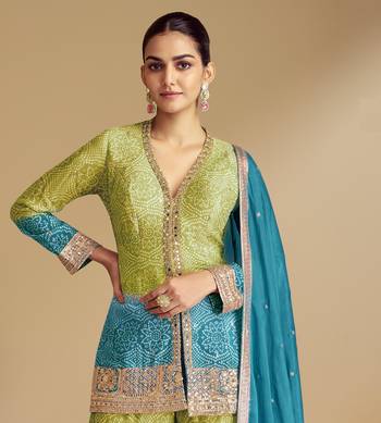 Sky beautiful chinon fabric heavy embroidered palazzo suit 2