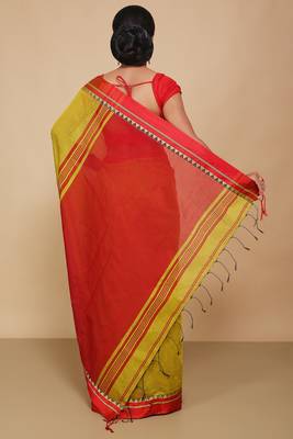 Terchi border handloom saree (Yellow) 3