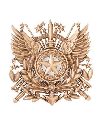 Imperial valor brooch 2