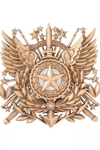 Imperial valor brooch