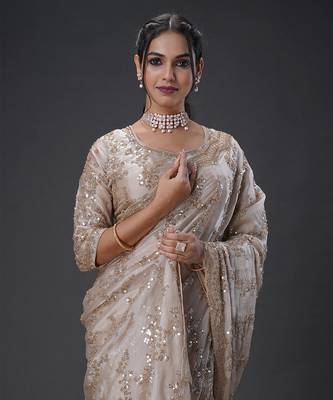 Light Brown beads tissue organza saree 2