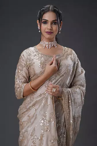 Light Brown beads tissue organza saree